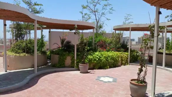 Rooftop terrace at Dynasty Apartments Clifton with curved shaded pergolas, lush greenery, potted plants, and red brick floori