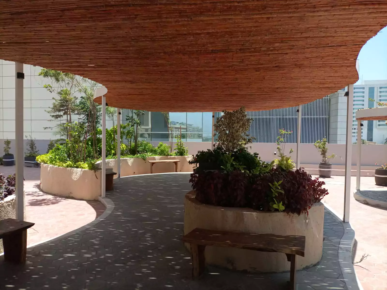Dynasty Apartments Clifton Luxury 4-Bedroom Flats for Sale in Karachi (9) Curved wooden pergola over lush landscaped terrace with benches and planters at Dynasty Apartments Clifton