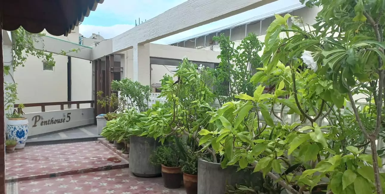 Luxurious 5-Bed Penthouse for Rent in Mall Square Zamzam – DHA Phase 5 Karachi (4) Lush terrace garden with potted plants, greenery, Penthouse sign on balcony railing in Mall Square DHA penthouse