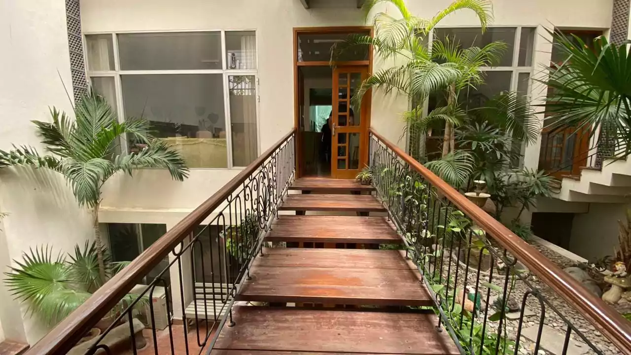 Elegant 500 Square Yards Bungalow for Sale in DHA Phase 6, Karachi (12) Elegant wooden bridge walkway leading to bungalow entrance door amid lush palm plants and white walls in DHA Phase 6