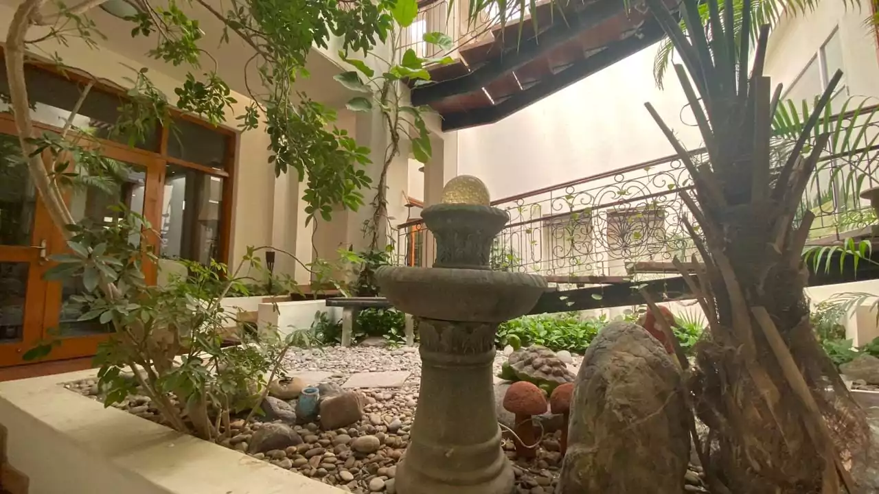 Elegant 500 Square Yards Bungalow for Sale in DHA Phase 6, Karachi (3) Serene courtyard garden with stone pedestal fountain, palm trees, lush greenery, rocks, and wooden doors in DHA Phase 6 bunga