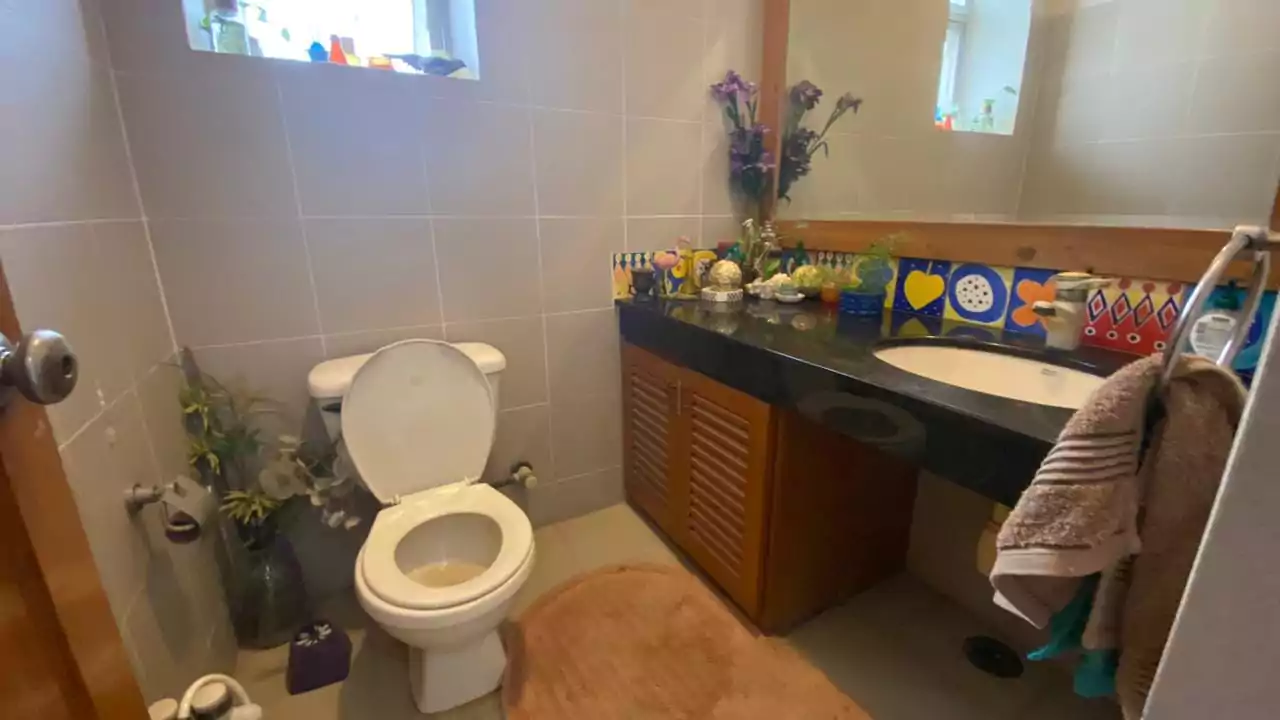 Elegant 500 Square Yards Bungalow for Sale in DHA Phase 6, Karachi (6) Bathroom with white toilet, wooden vanity sink, colorful tiled backsplash, plants in elegant 500 sq yd bungalow, DHA Phase 6