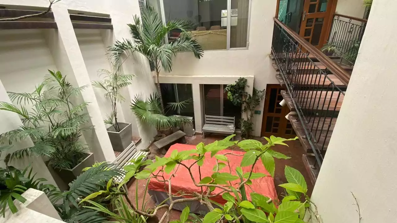 Elegant 500 Square Yards Bungalow for Sale in DHA Phase 6, Karachi (9) Lush central courtyard in 500 sq yd bungalow for sale in DHA Phase 6 with palms, ferns, red seating, balconies, white walls